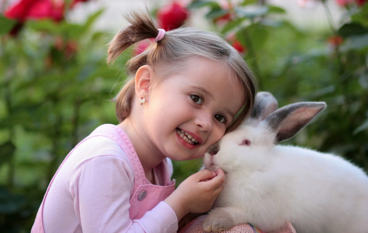 Cuidado dental para niños - Centro dental de lujo - Tareas dentales